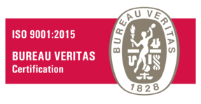 empresa-de-tecnologia-certificada-en-iso-9001-1 (1)